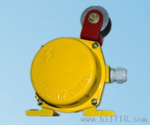 LLJ-B料流檢測器，料流開關(guān)，220V防爆型
