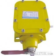 縱向撕裂開關(guān)YHZL-I、YHZL-IIBZL-220B防爆縱向撕裂保護裝置
